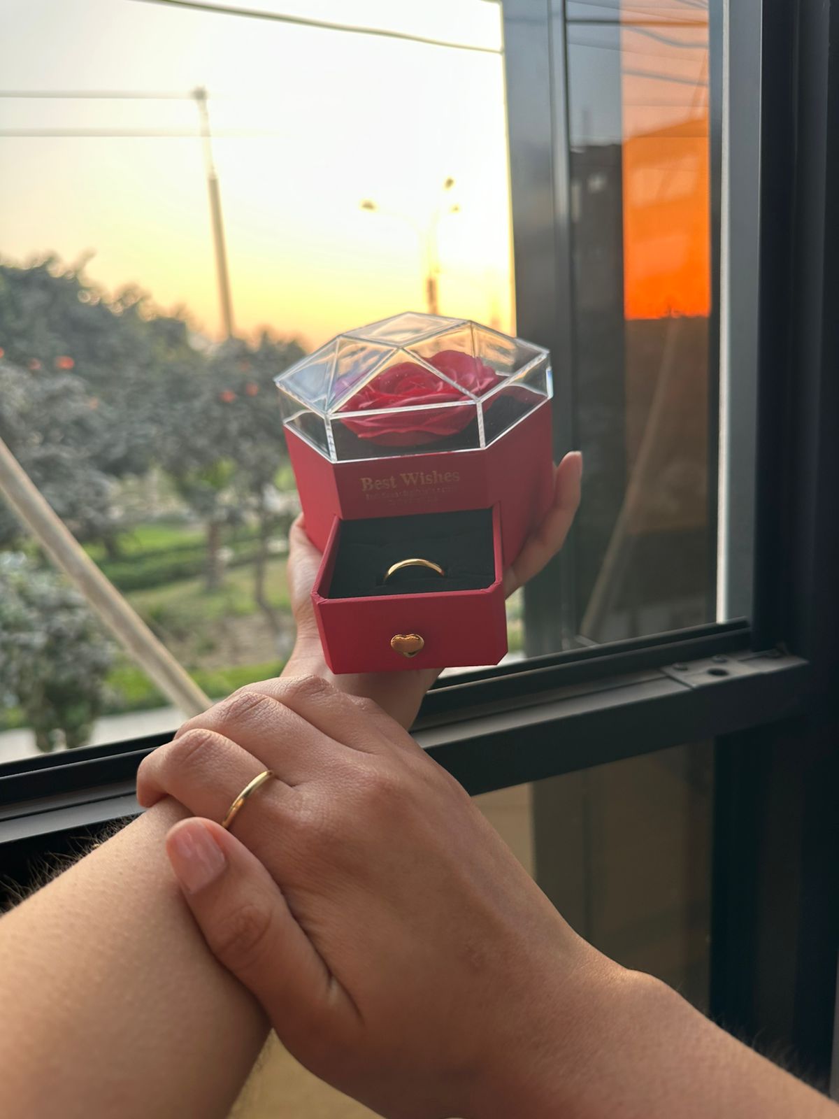 ANILLOS PROMESA: AMOR ETERNO